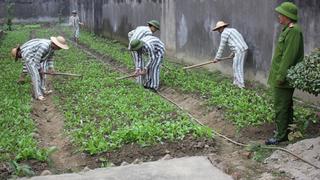 Nâng cao công tác quản lý, giáo dục, cải tạo phạm nhân