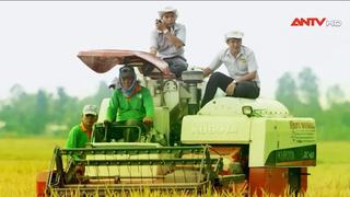 Xây dựng thương hiệu quốc gia: Hướng đi bền vững cho nông sản Việt