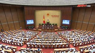 Quốc hội thảo luận Luật Bảo vệ quyền lợi người tiêu dùng (sửa đổi)