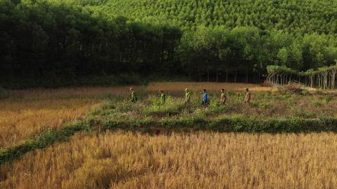 Những cánh tay nối dài