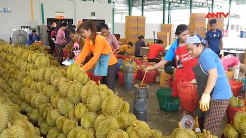 An ninh toàn cảnh ngày 16/7/2023