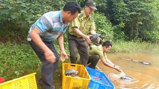 Kiểm lâm TP.HCM thả 60 cá thể động vật hoang dã quý hiếm về tự nhiên