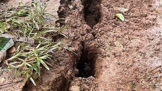 Sớm xác định nguyên nhân nứt gãy, sạt lở tại Đắk Nông